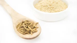 Allerta farina di larve: ecco in quali alimenti viene utilizzata